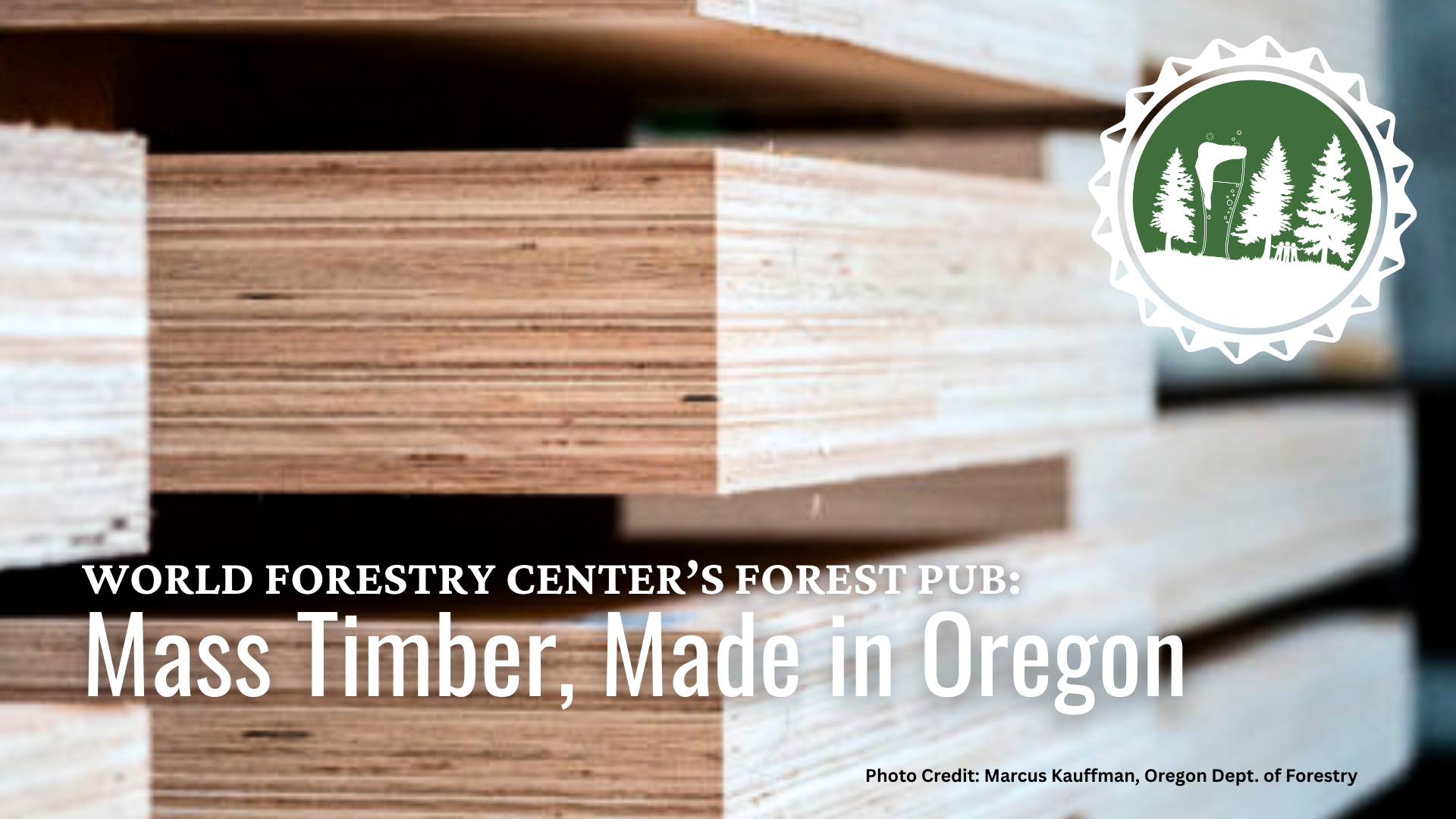 forest_pub_on_mass_timber_wood_stacks