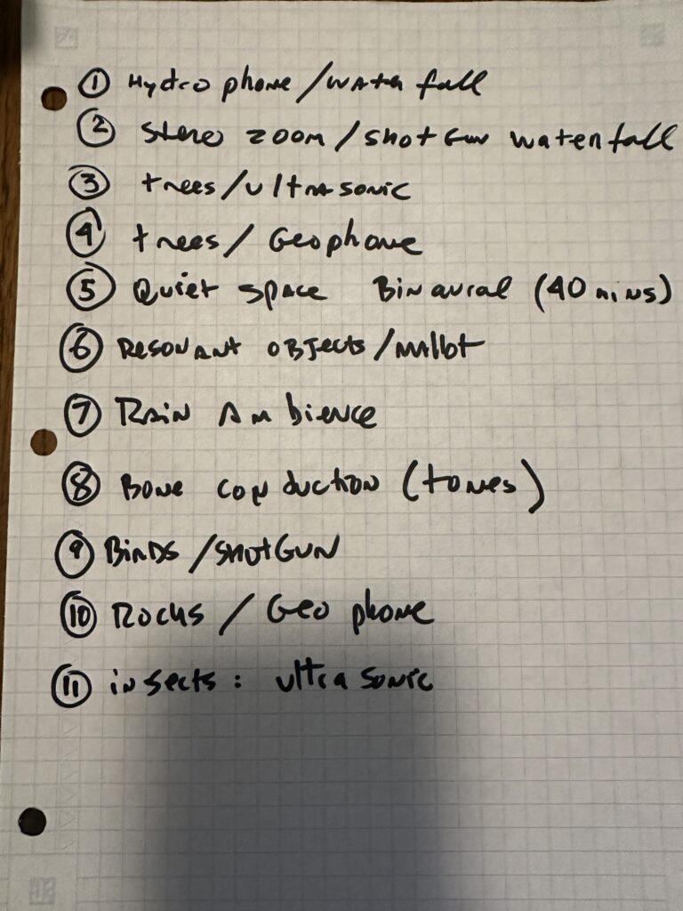 forest_sound_walk_notes