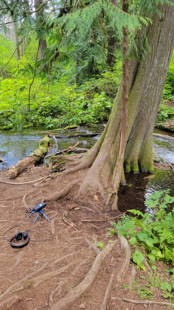 microphone_set_up_near_tree_and_creek