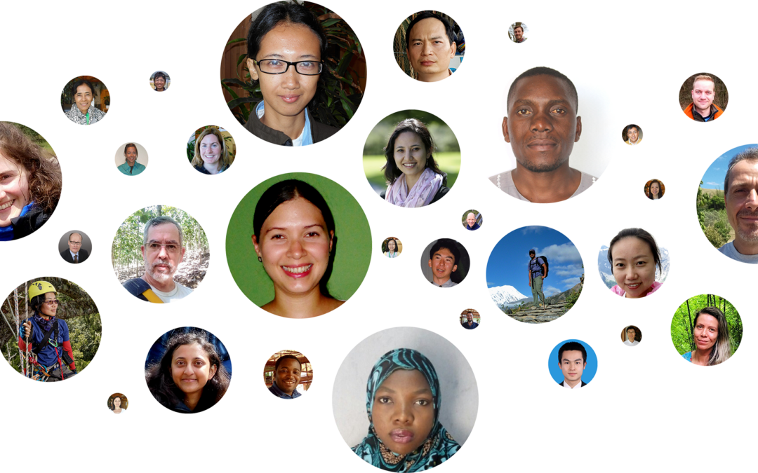 Where are they now? Checking in with our Fellowship Alumni