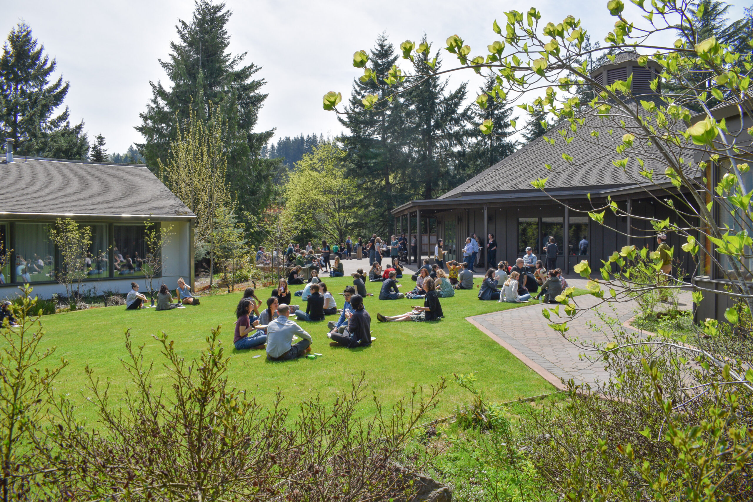 people_sitting_in_grass