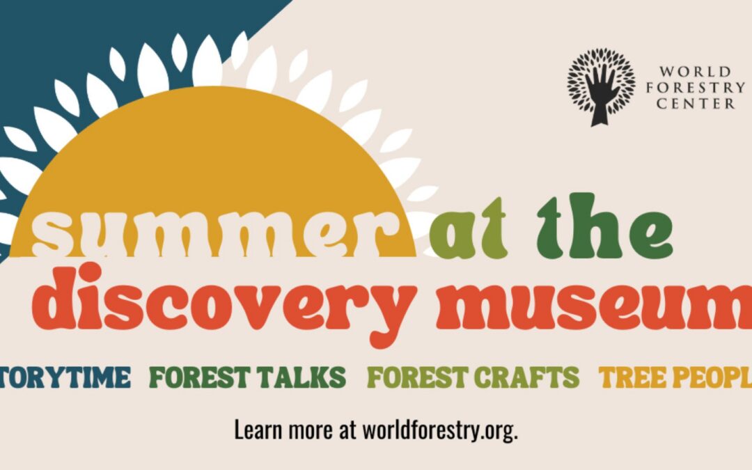 Summer at the Discovery Museum