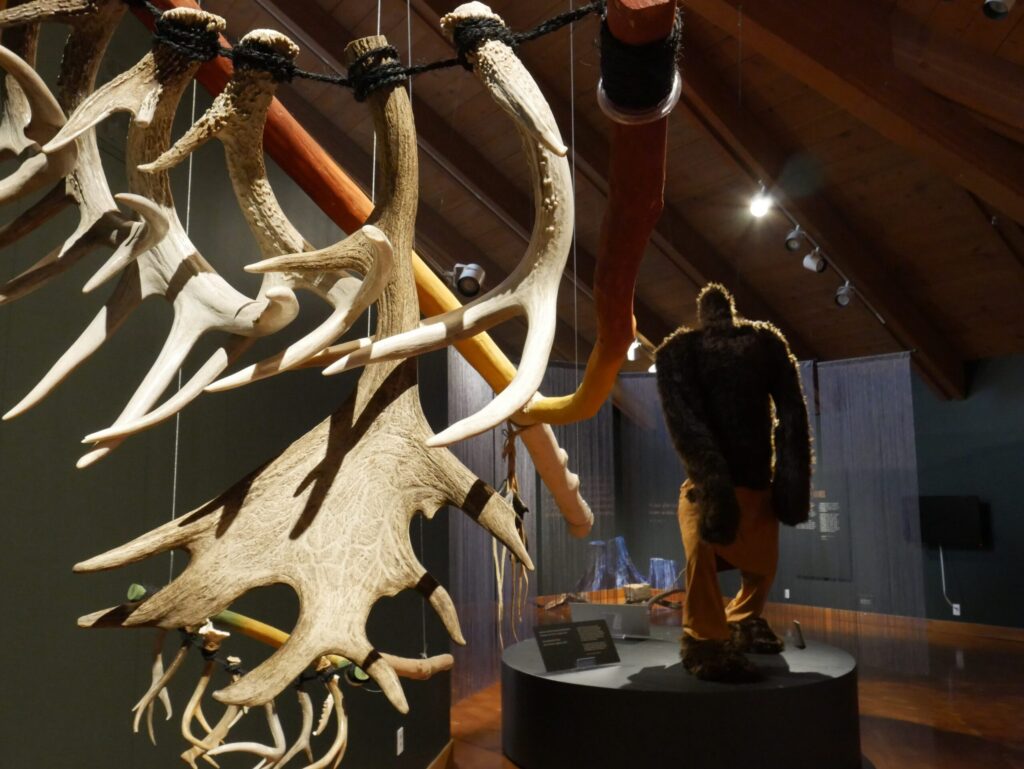 Large antlers hanging in foreground with Sasquatch exhibit display in museum gallery