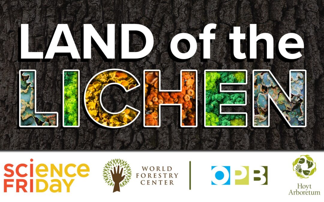 Land of The Lichen: Presented by Science Friday and World Forestry Center