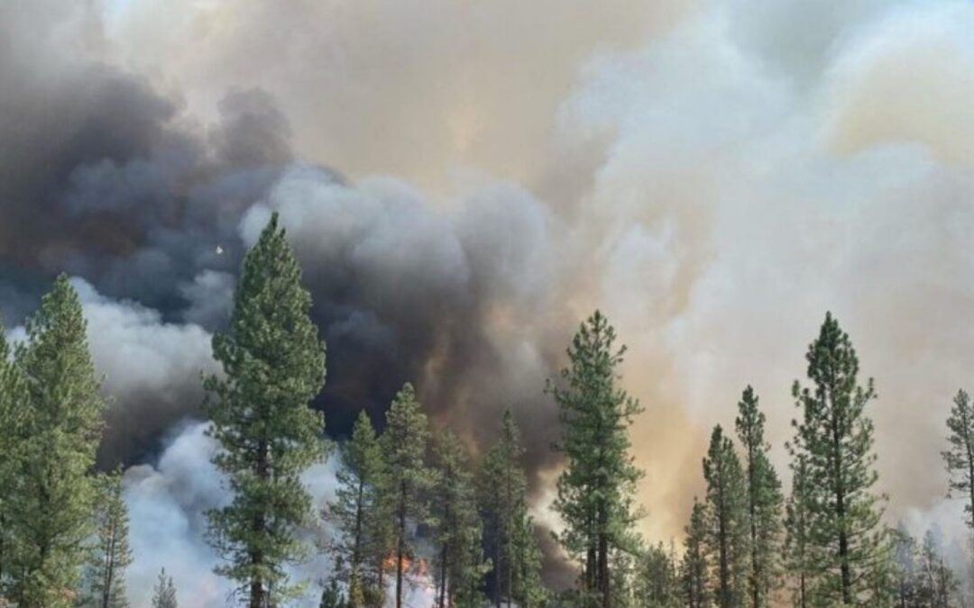 Quotes from Our Virtual Series on the Health Impacts of Wildfire Smoke