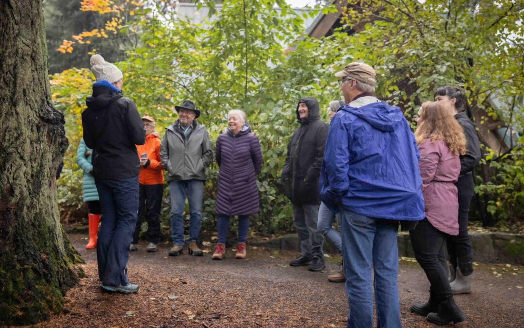 2025: A Year in Review