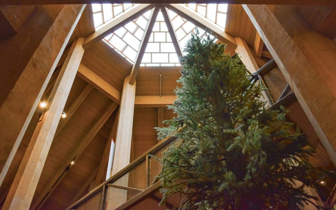 Our Team Continues to Expand