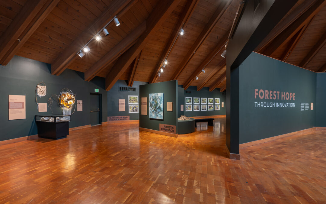 Forest Hope Through Innovation