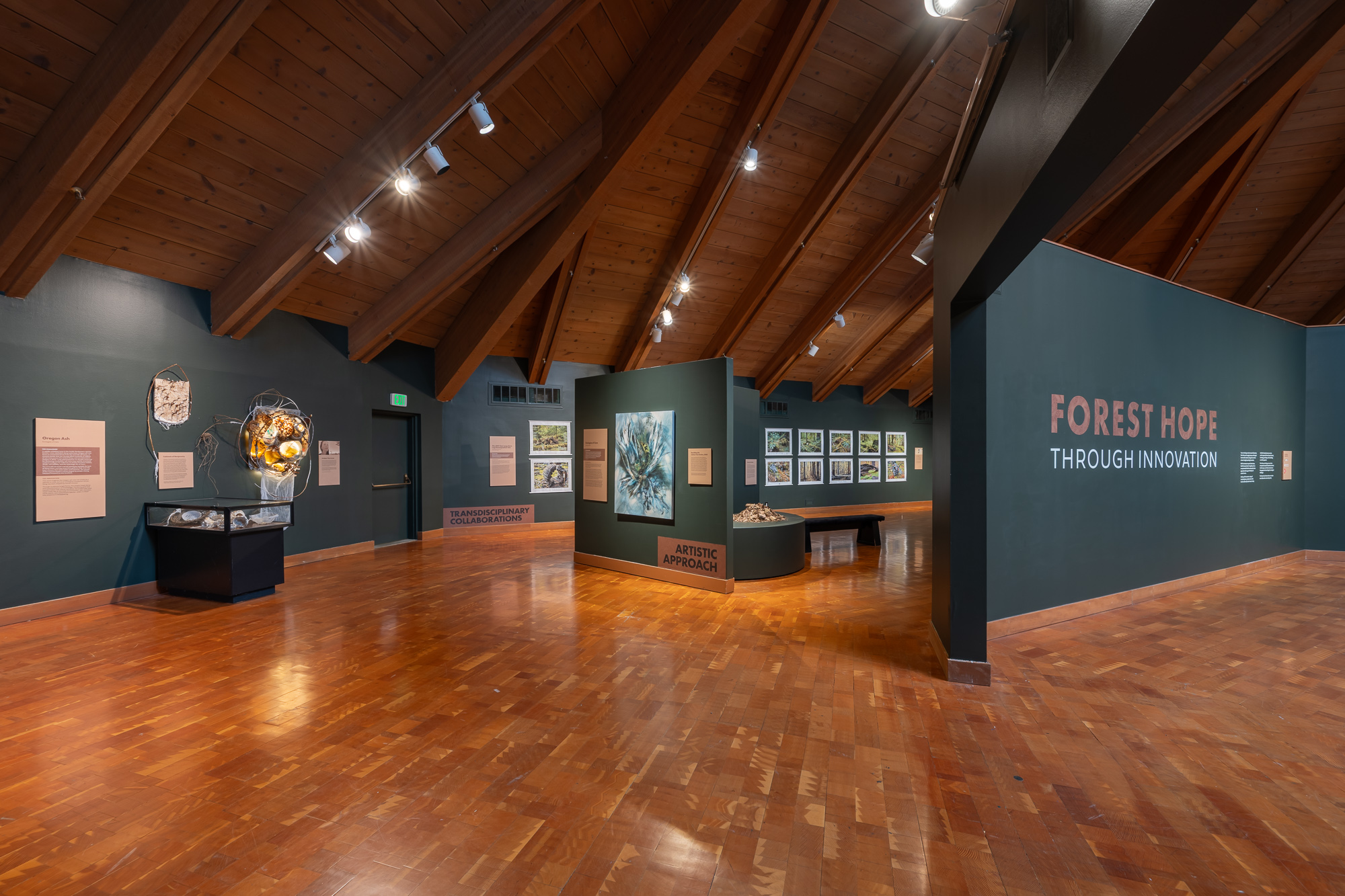 Forest Hope Through Innovation