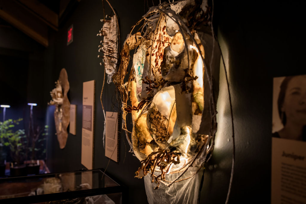 lighted_sculpture_in_gallery_fhti