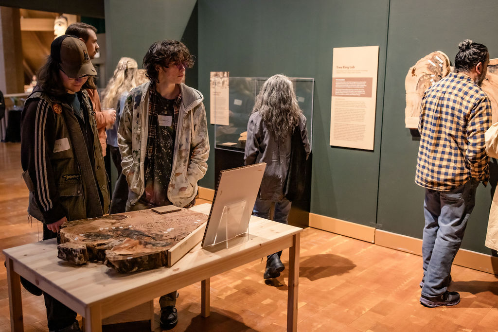 people_in_tree_ring_gallery_fhti