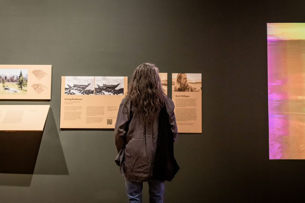 woman_looking_at_gallery_panels_fhti