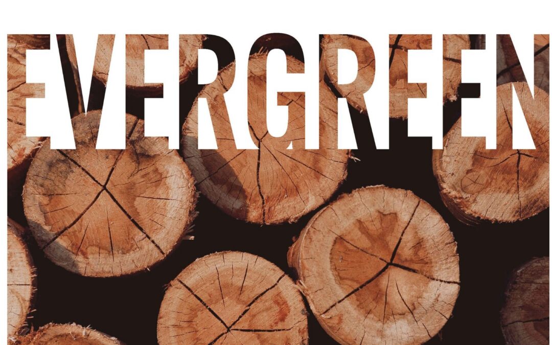 Evergreen Spring ’26