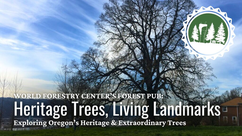 Forest Pub | Heritage Trees, Living Landmarks 4 August 2026 FP.