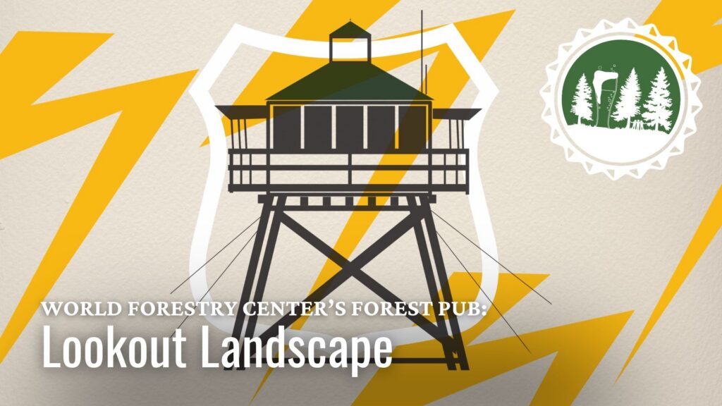 Forest Pub | Lookout Landscape 4 September 2026 FP.