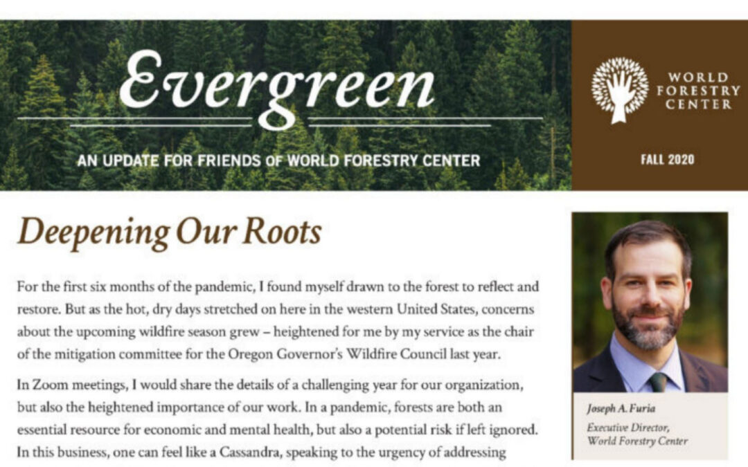 Evergreen Magazine | Fall ’20