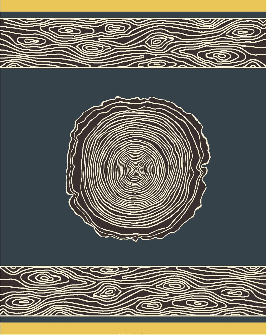 pendleton final blanket wfc Design.