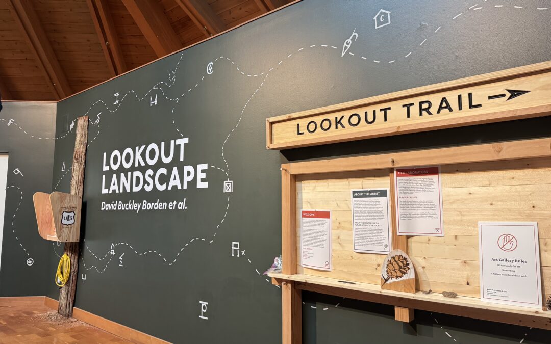 Lookout Landscape
