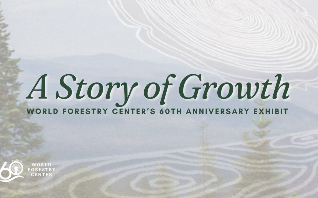 A Story of Growth: From Forest to Fiber