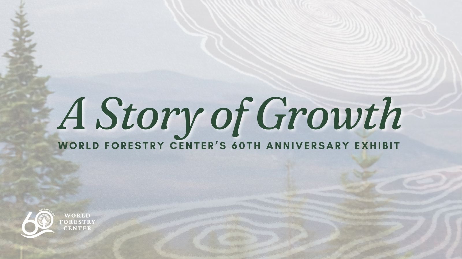 News & Events 1 A Story of Growth: From Forest to Fiber
