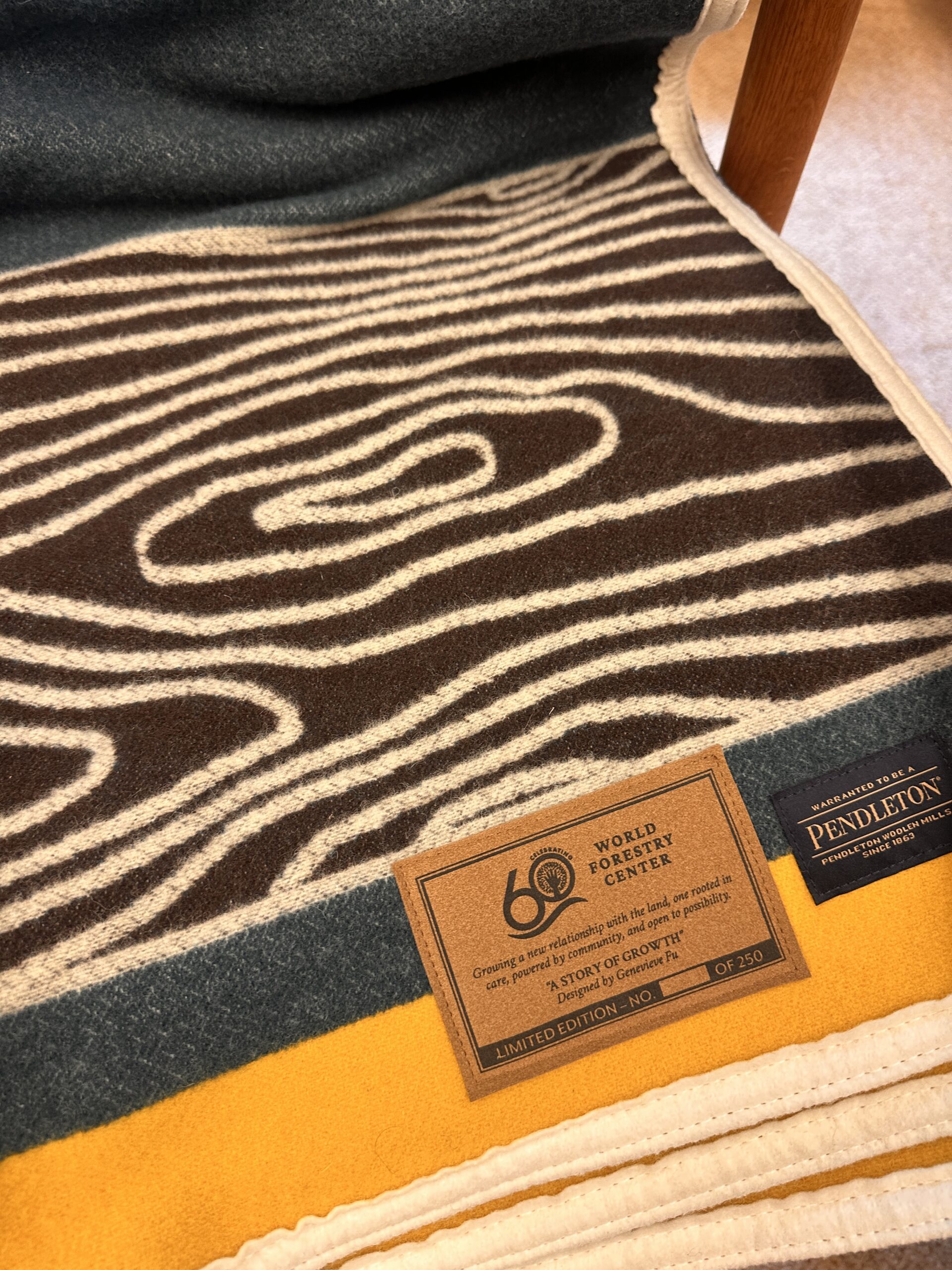 pendleton_blanket_2 pendleton blanket 2 scaled.